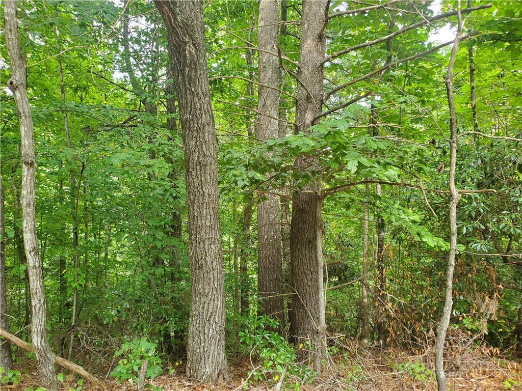 3924 Pearson Mountain Road Property Photo 22