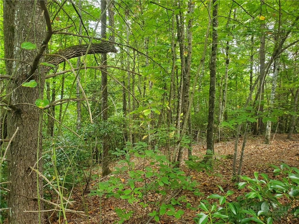 3924 Pearson Mountain Road Property Photo 23