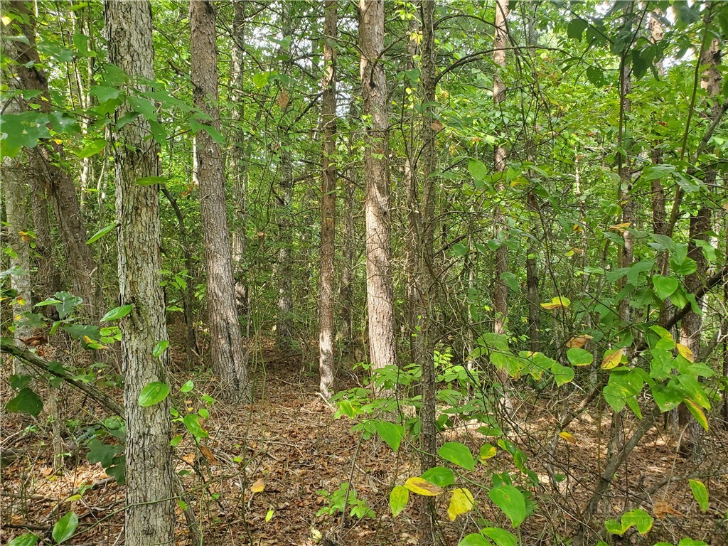 3924 Pearson Mountain Road Property Photo 24