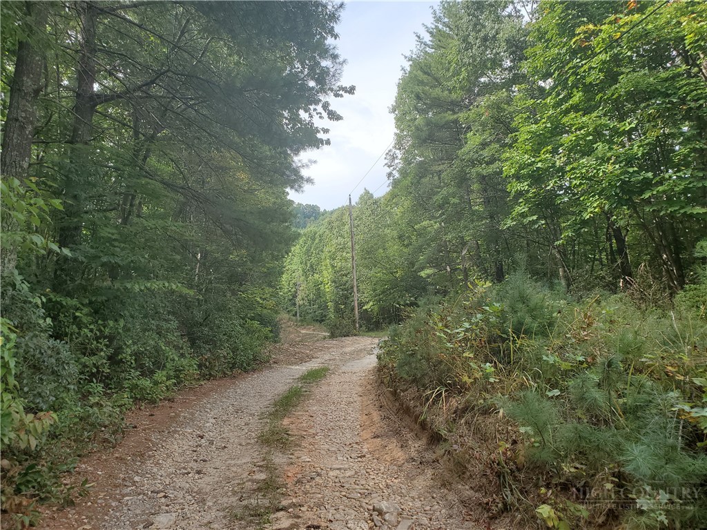 3924 Pearson Mountain Road Property Photo 25