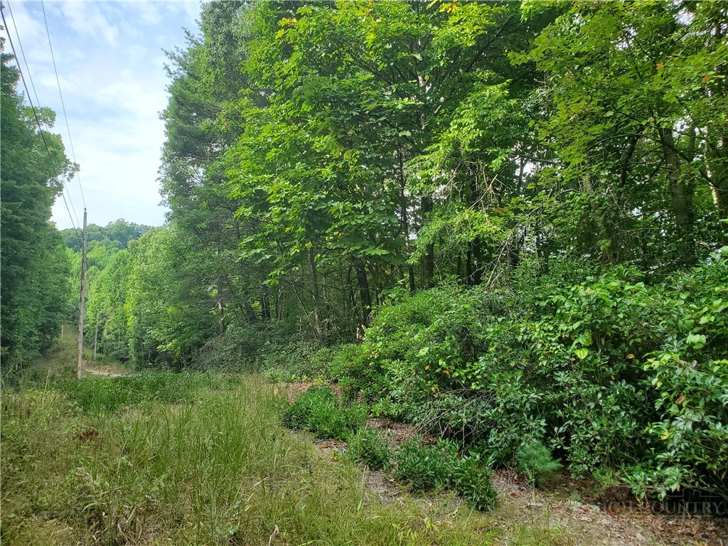 3924 Pearson Mountain Road Property Photo 26