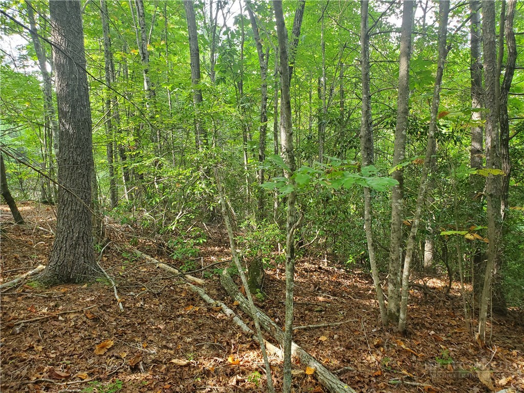 3924 Pearson Mountain Road Property Photo 27