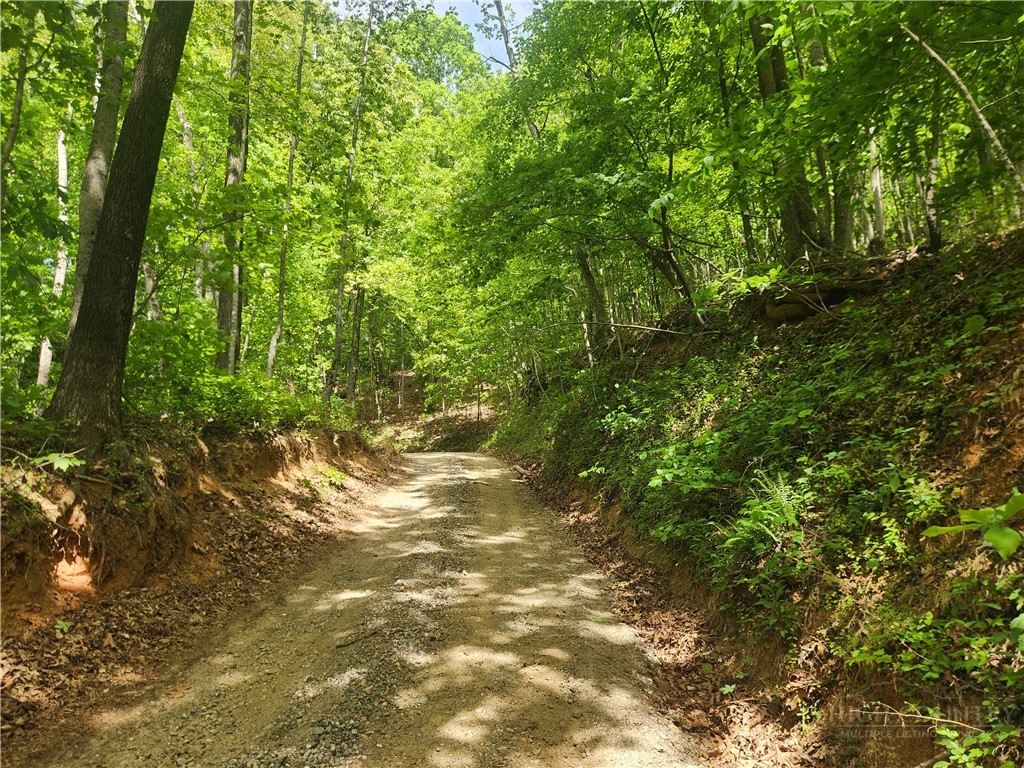 3924 Pearson Mountain Road Property Photo 30