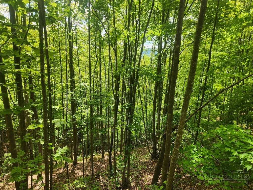 3924 Pearson Mountain Road Property Photo 33