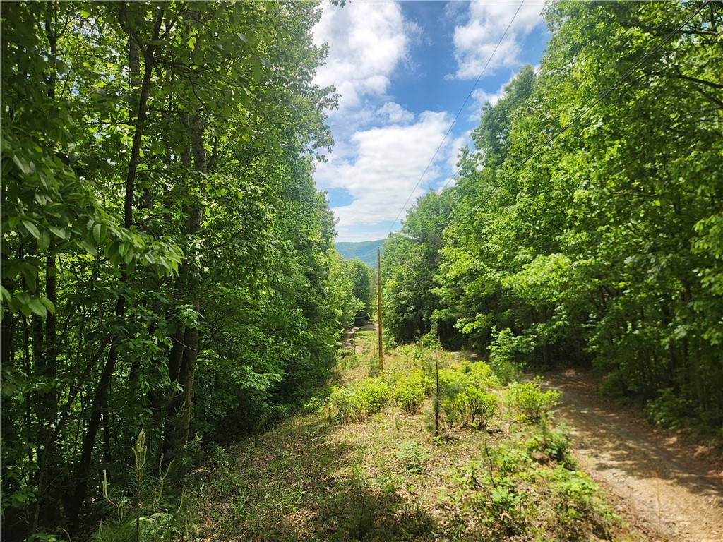 3924 Pearson Mountain Road Property Photo 34