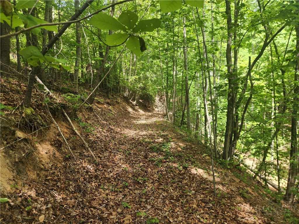 3924 Pearson Mountain Road Property Photo 36