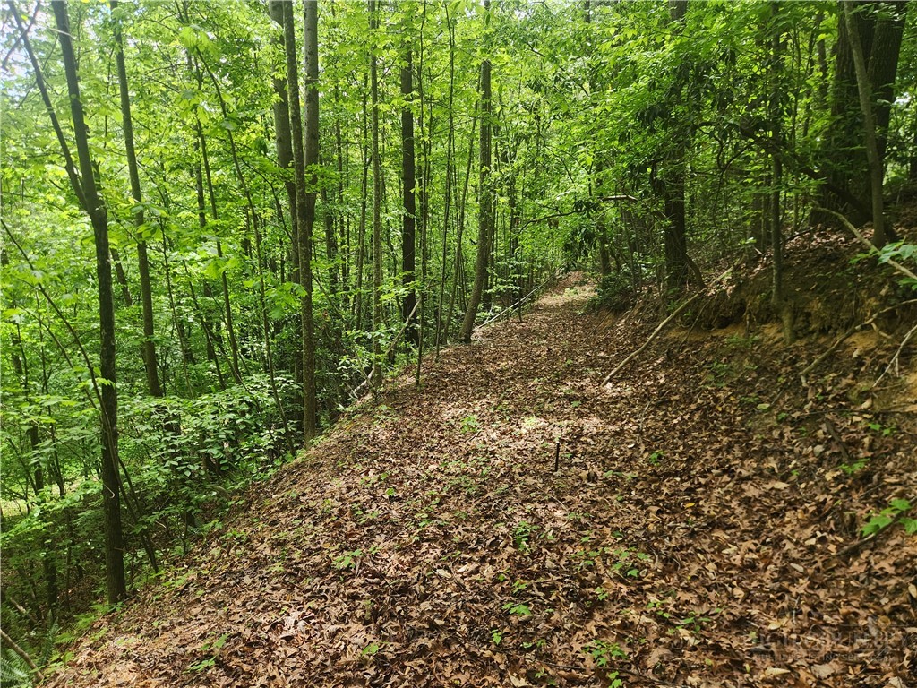 3924 Pearson Mountain Road Property Photo 37