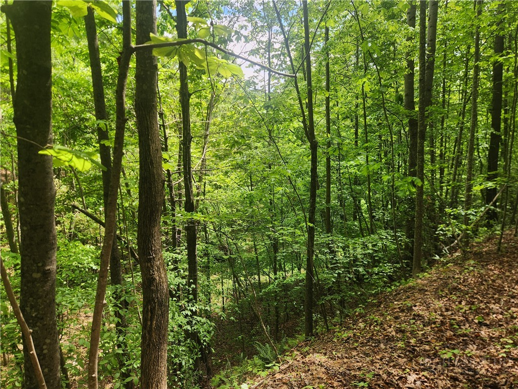 3924 Pearson Mountain Road Property Photo 38