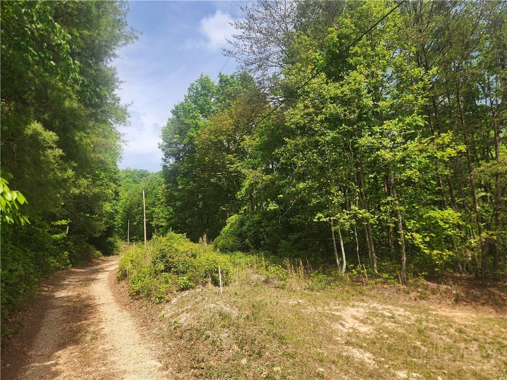 3924 Pearson Mountain Road Property Photo 39