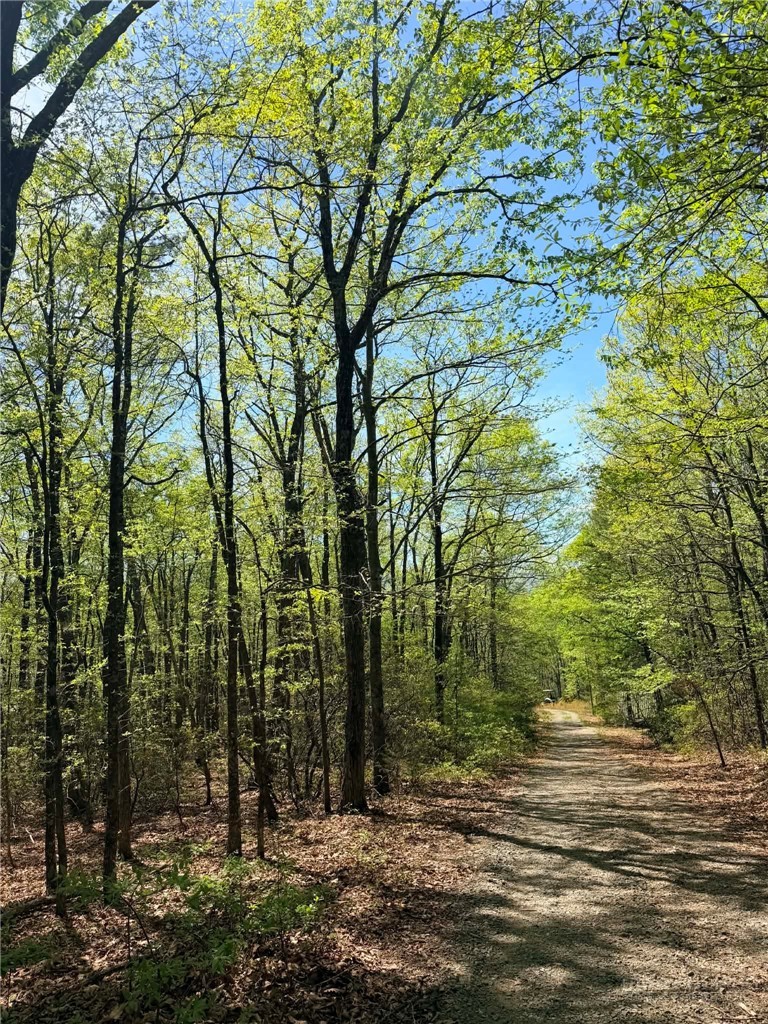 Tbd Raven Ridge Trail Property Photo 1