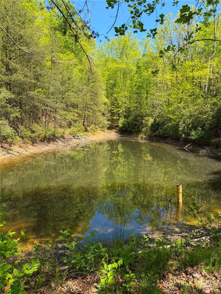 Tbd Raven Ridge Trail Property Photo 2