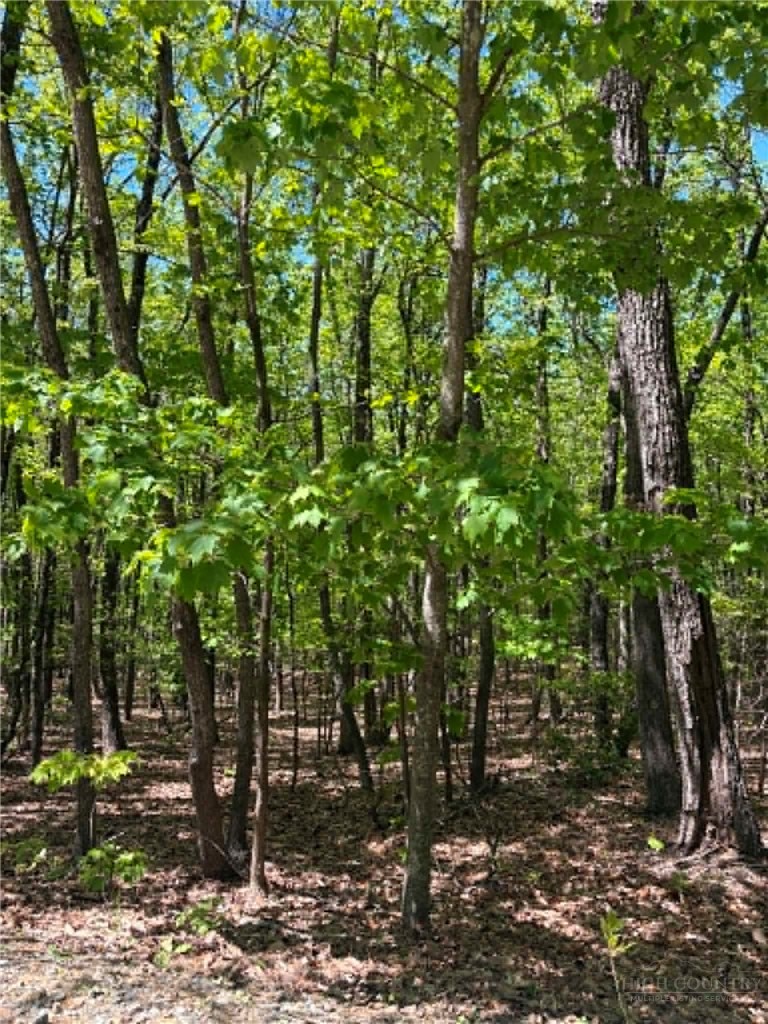 Tbd Raven Ridge Trail Property Photo 3