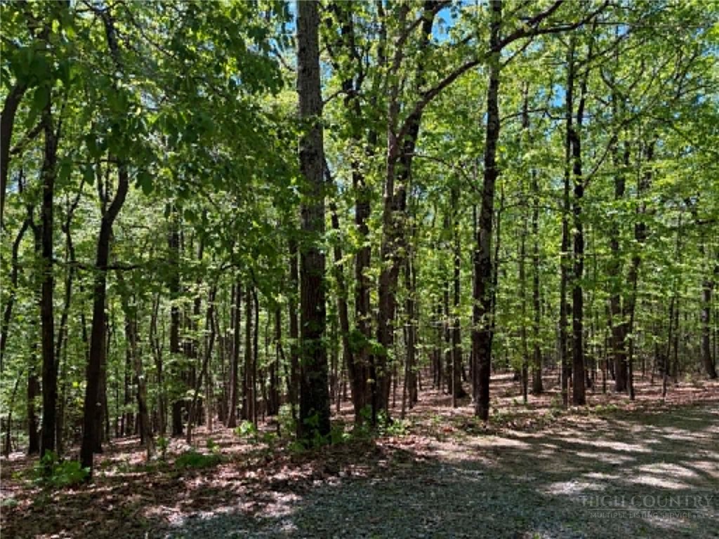 Tbd Raven Ridge Trail Property Photo 4
