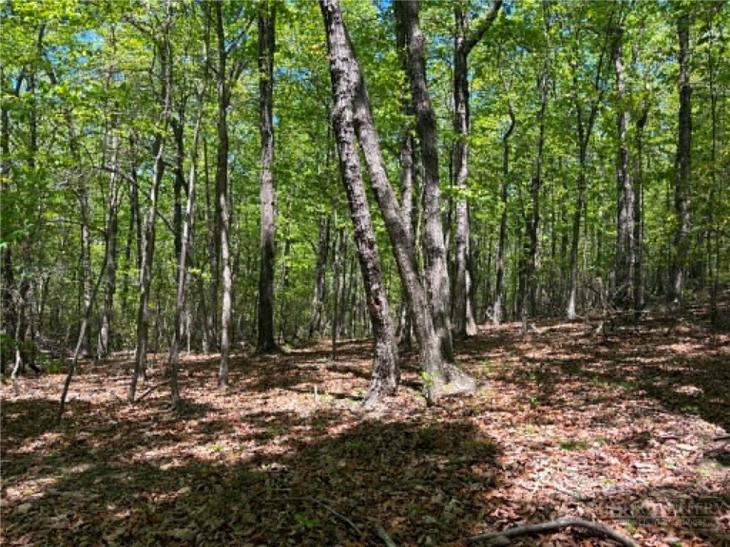 Tbd Raven Ridge Trail Property Photo 5