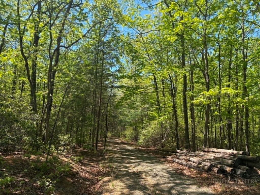 Tbd Raven Ridge Trail Property Photo 6
