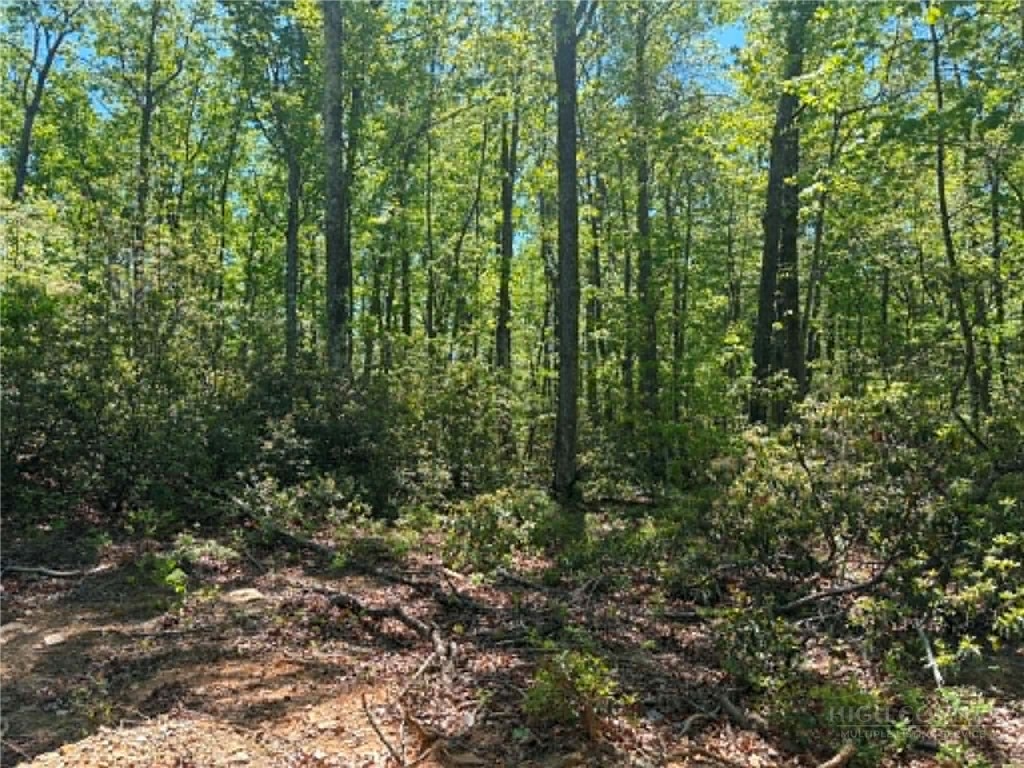Tbd Raven Ridge Trail Property Photo 8