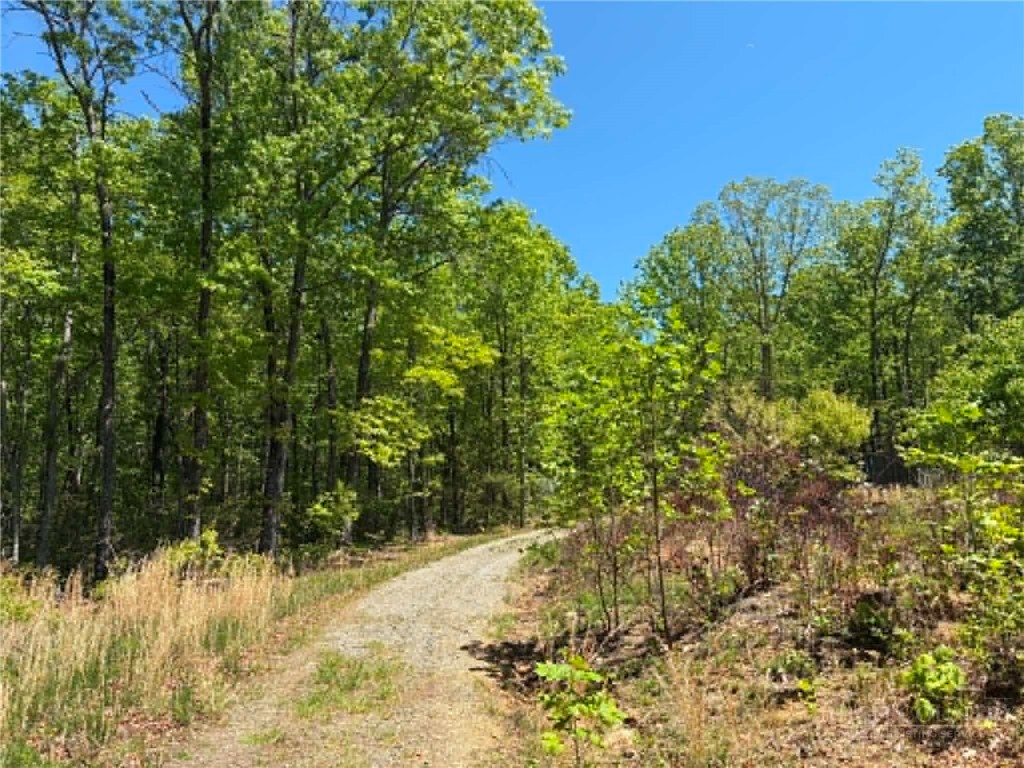 Tbd Raven Ridge Trail Property Photo 9