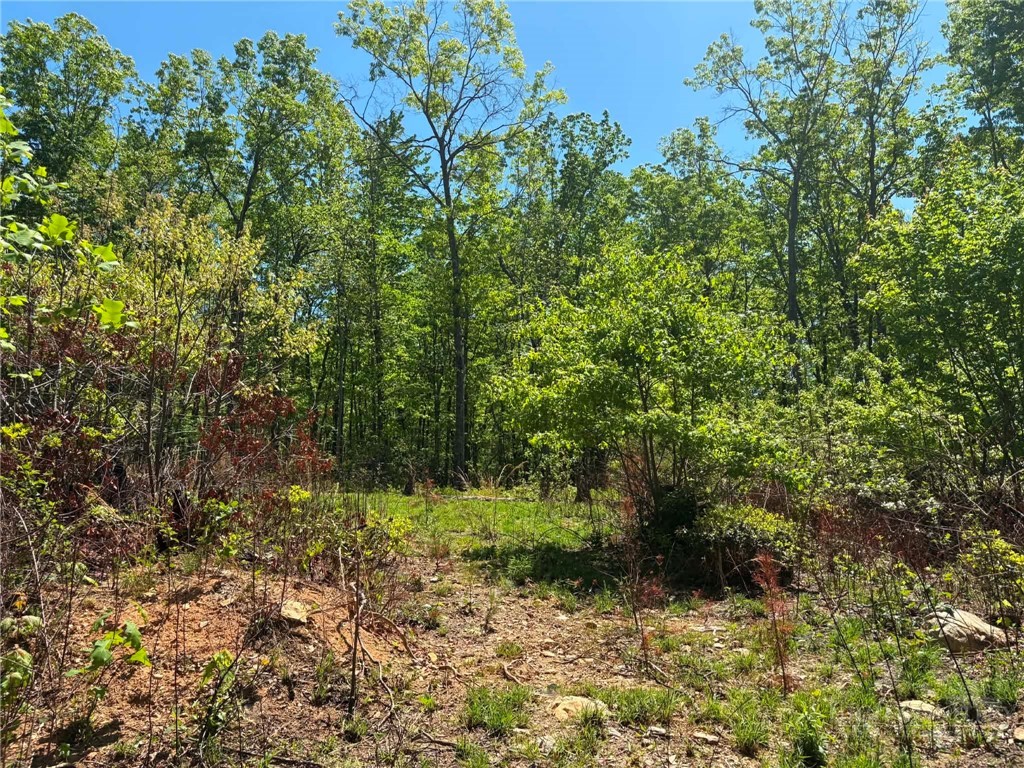 Tbd Raven Ridge Trail Property Photo 10