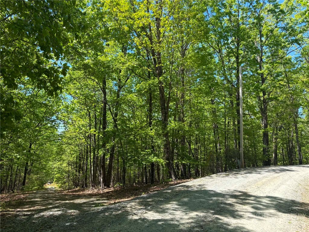 Tbd Raven Ridge Trail Property Photo 11
