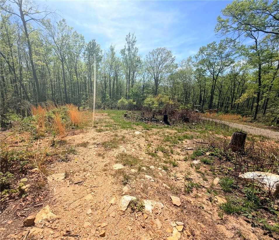Tbd Raven Ridge Trail Property Photo 12