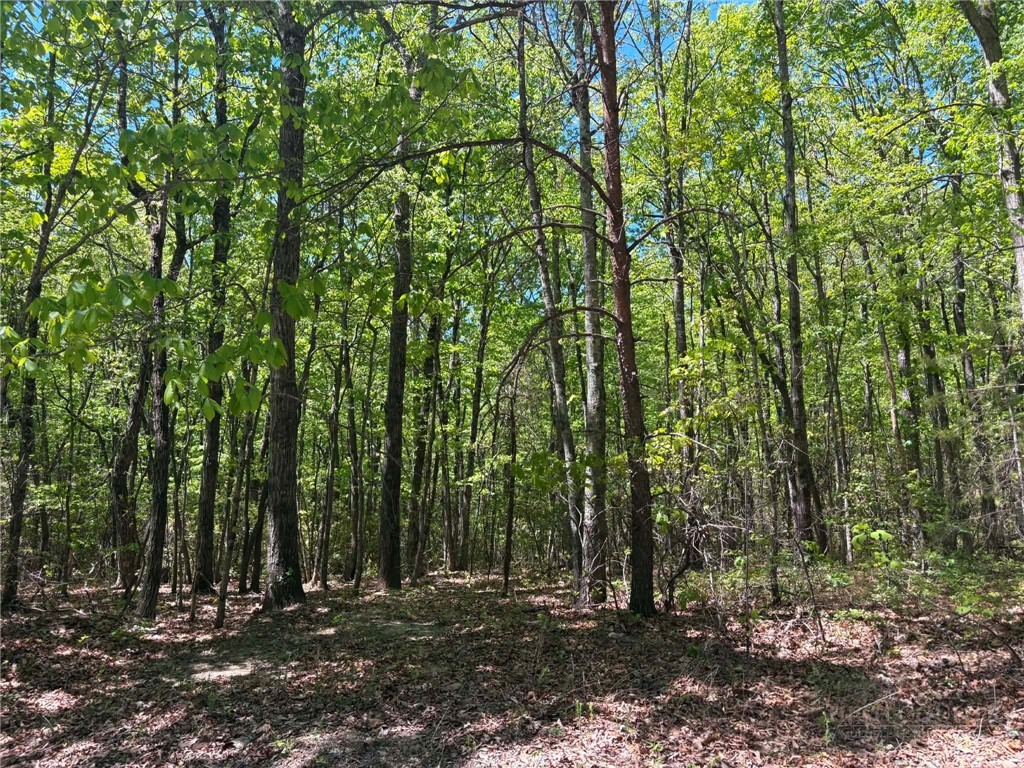 Tbd Raven Ridge Trail Property Photo 13