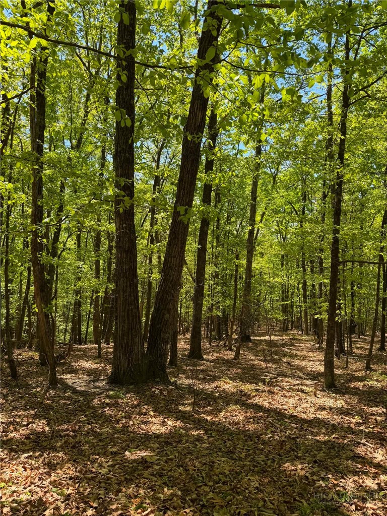 Tbd Raven Ridge Trail Property Photo 15