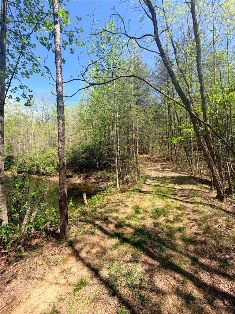 Tbd Raven Ridge Trail Property Photo 17