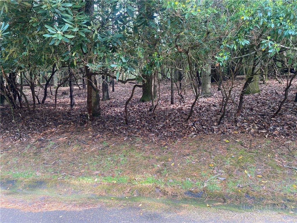 18-C Buchanan Street Property Photo 1