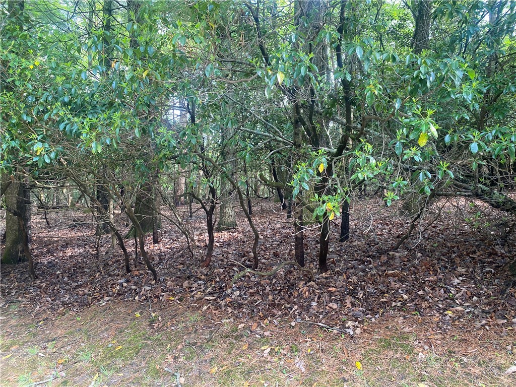 18-c Buchanan Street Property Photo 2