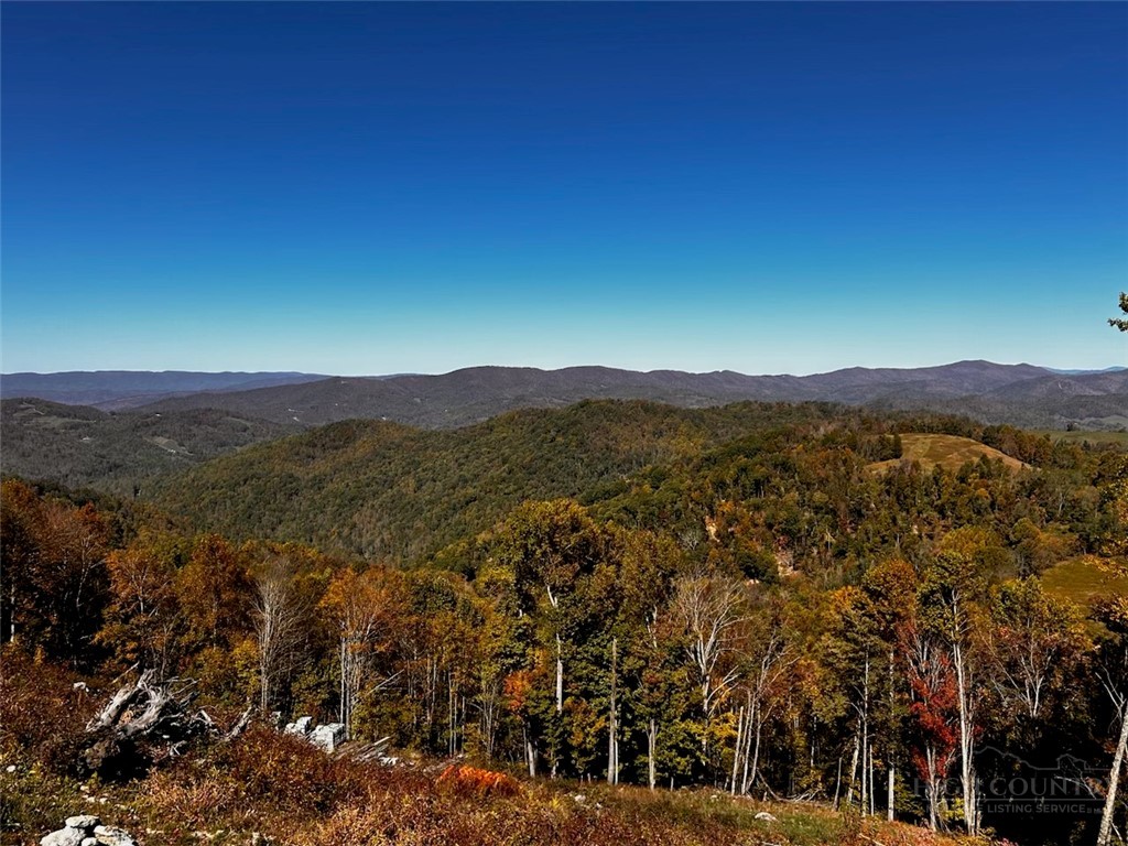 174 Winter Park Trail Property Photo 38