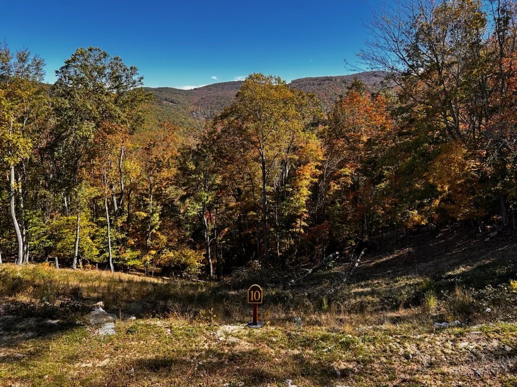174 Winter Park Trail Property Photo 39