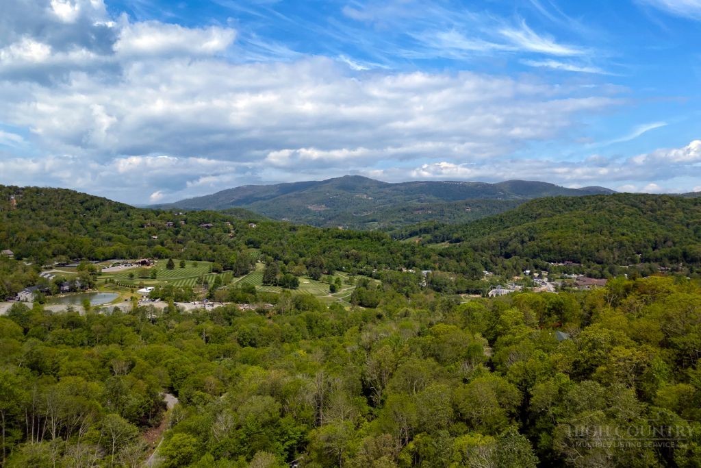 110 Forest Run Property Photo 18