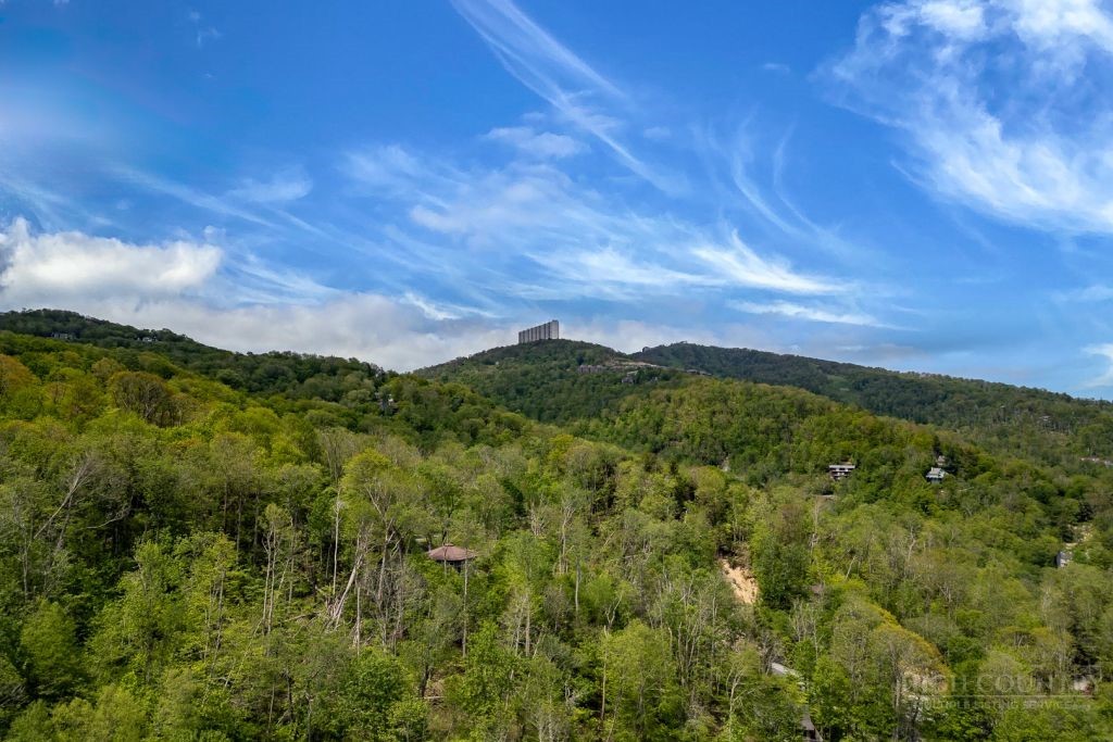 110 Forest Run Property Photo 31