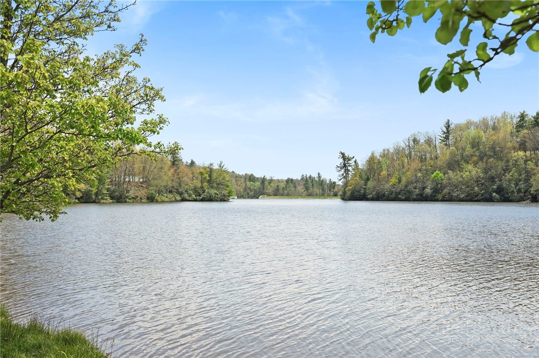 143 Snowshoe Loop Property Photo 42