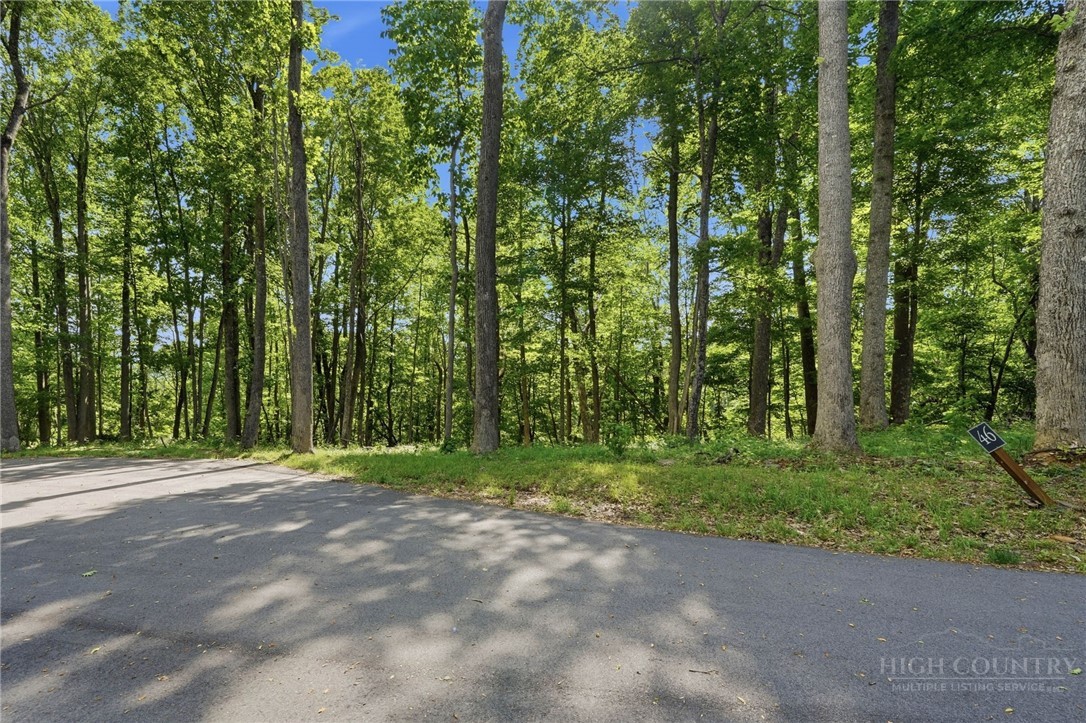 Lot 46 Poplar Forest Drive Property Photo 1