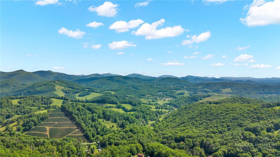 Lot 46 Poplar Forest Drive Property Photo 2