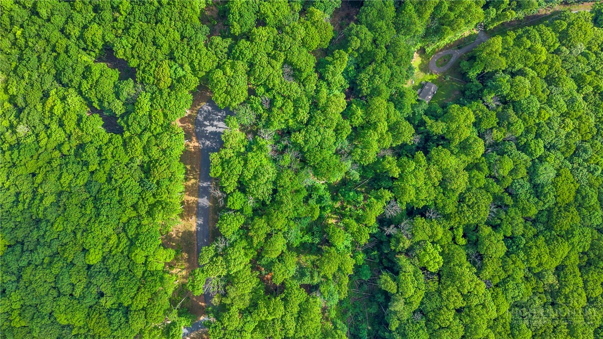 Lot 46 Poplar Forest Drive Property Photo 3