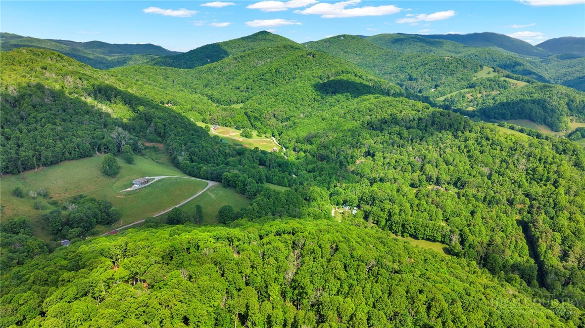 Lot 46 Poplar Forest Drive Property Photo 4