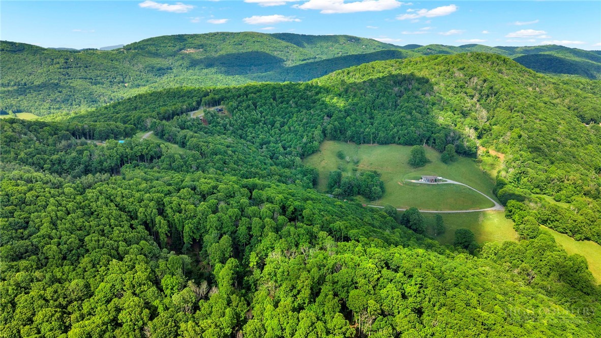 Lot 46 Poplar Forest Drive Property Photo 6