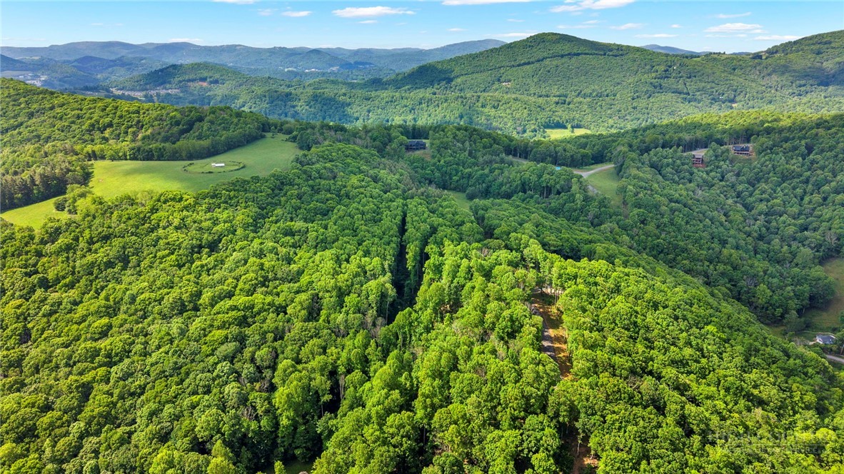 Lot 46 Poplar Forest Drive Property Photo 7