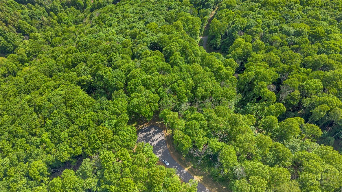 Lot 46 Poplar Forest Drive Property Photo 11