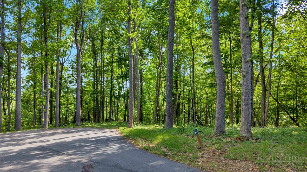 Lot 46 Poplar Forest Drive Property Photo 12