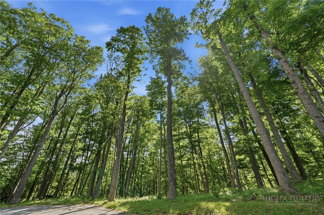 Lot 46 Poplar Forest Drive Property Photo 13