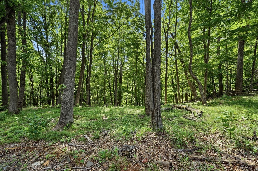 Lot 46 Poplar Forest Drive Property Photo 14