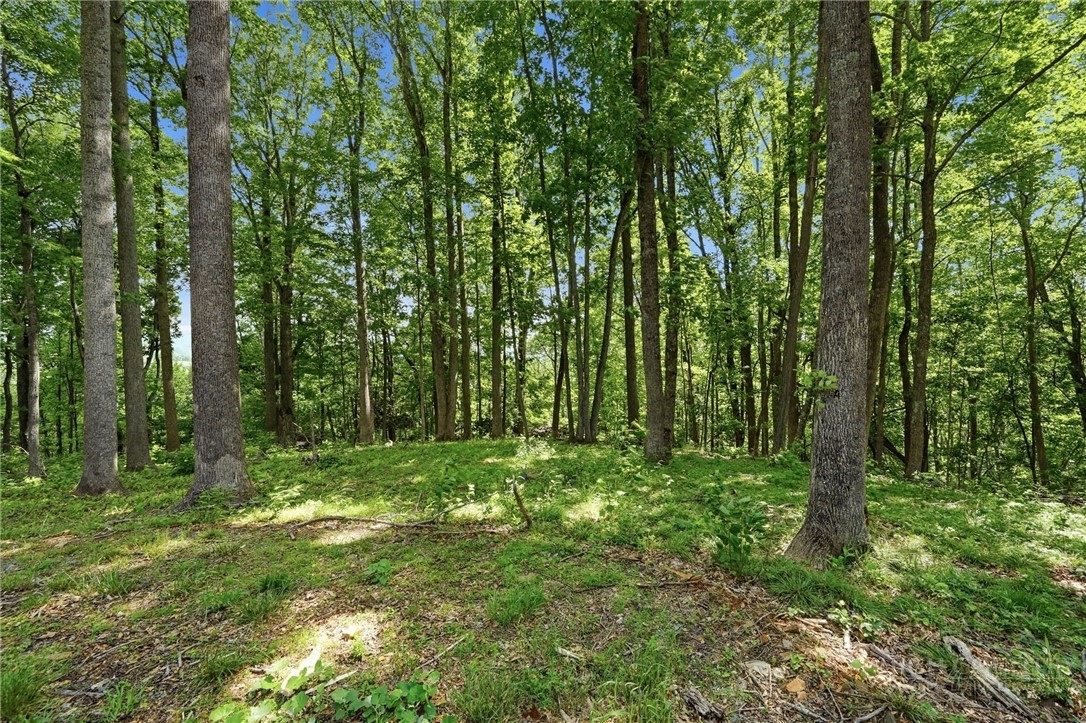 Lot 46 Poplar Forest Drive Property Photo 15