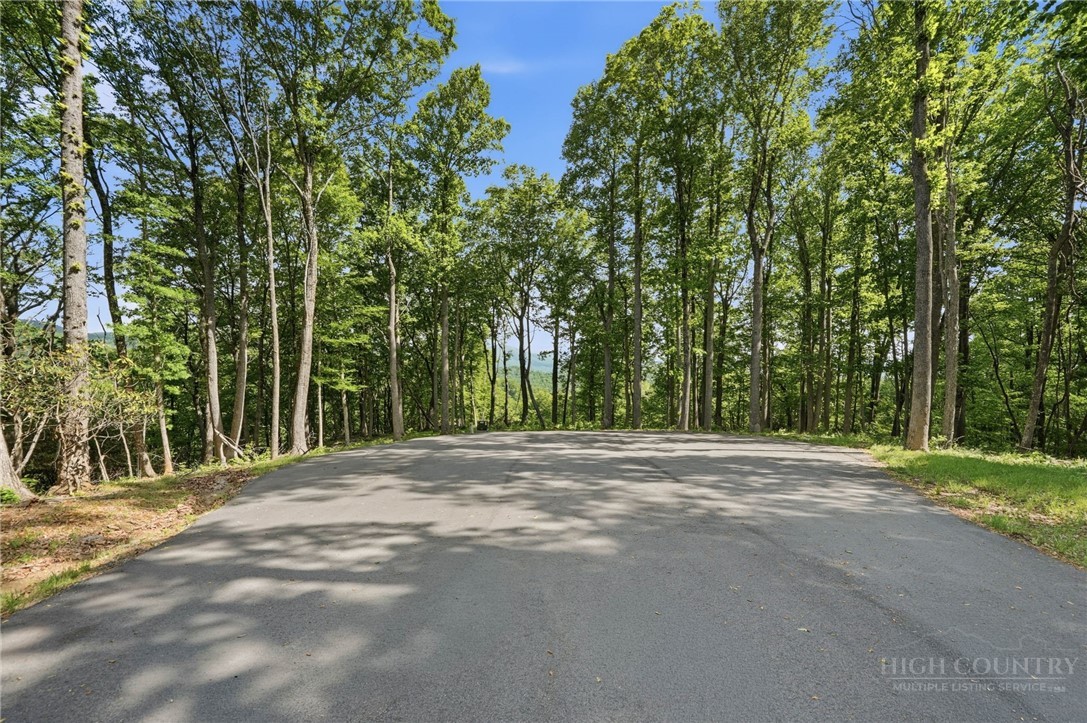 Lot 46 Poplar Forest Drive Property Photo 16