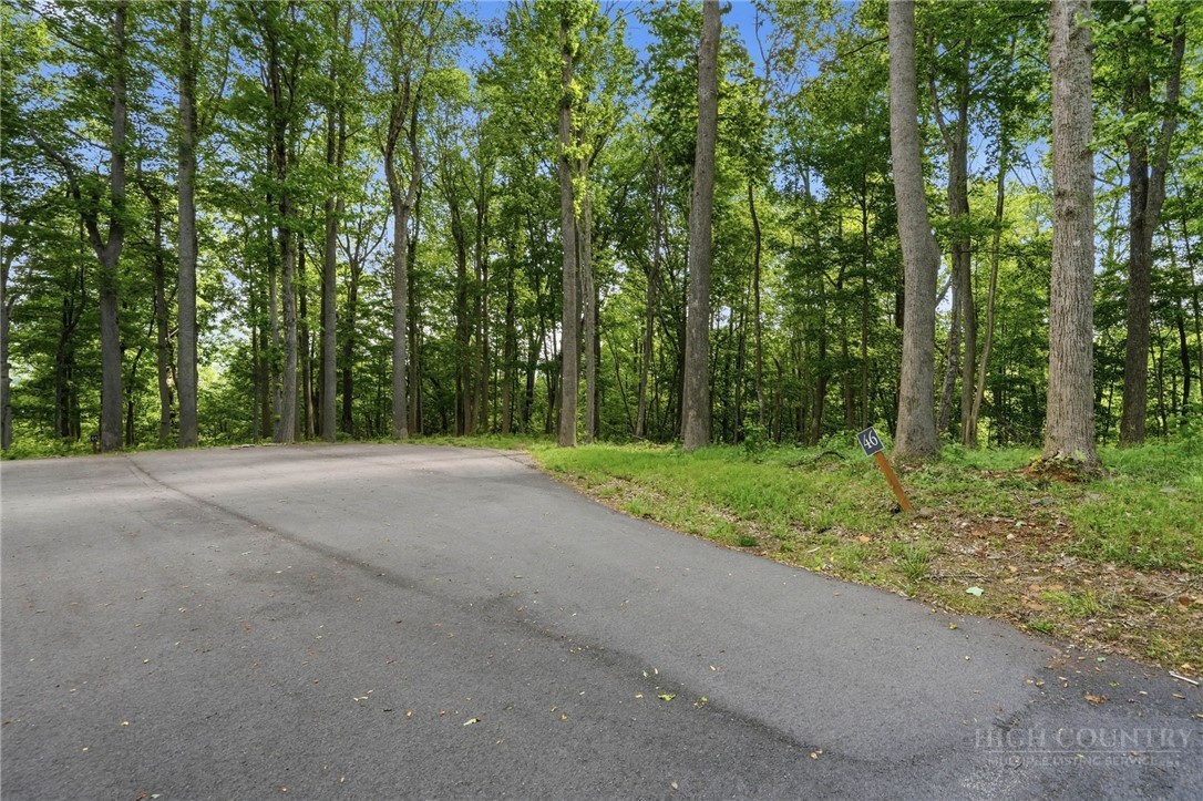 Lot 46 Poplar Forest Drive Property Photo 17