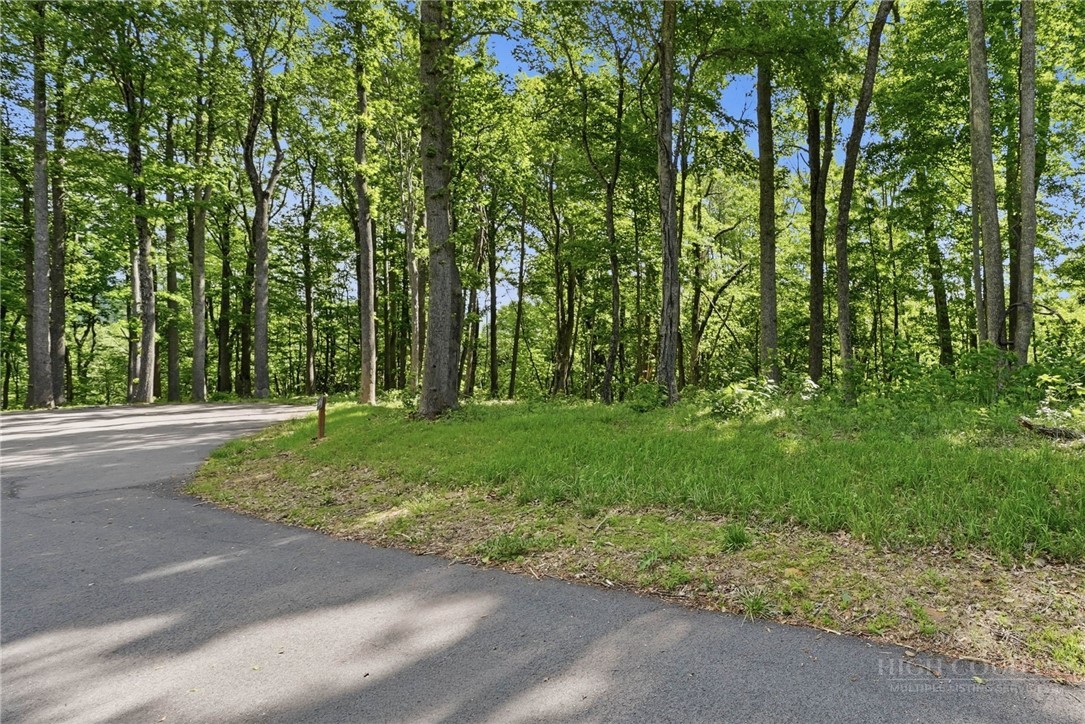 Lot 46 Poplar Forest Drive Property Photo 18
