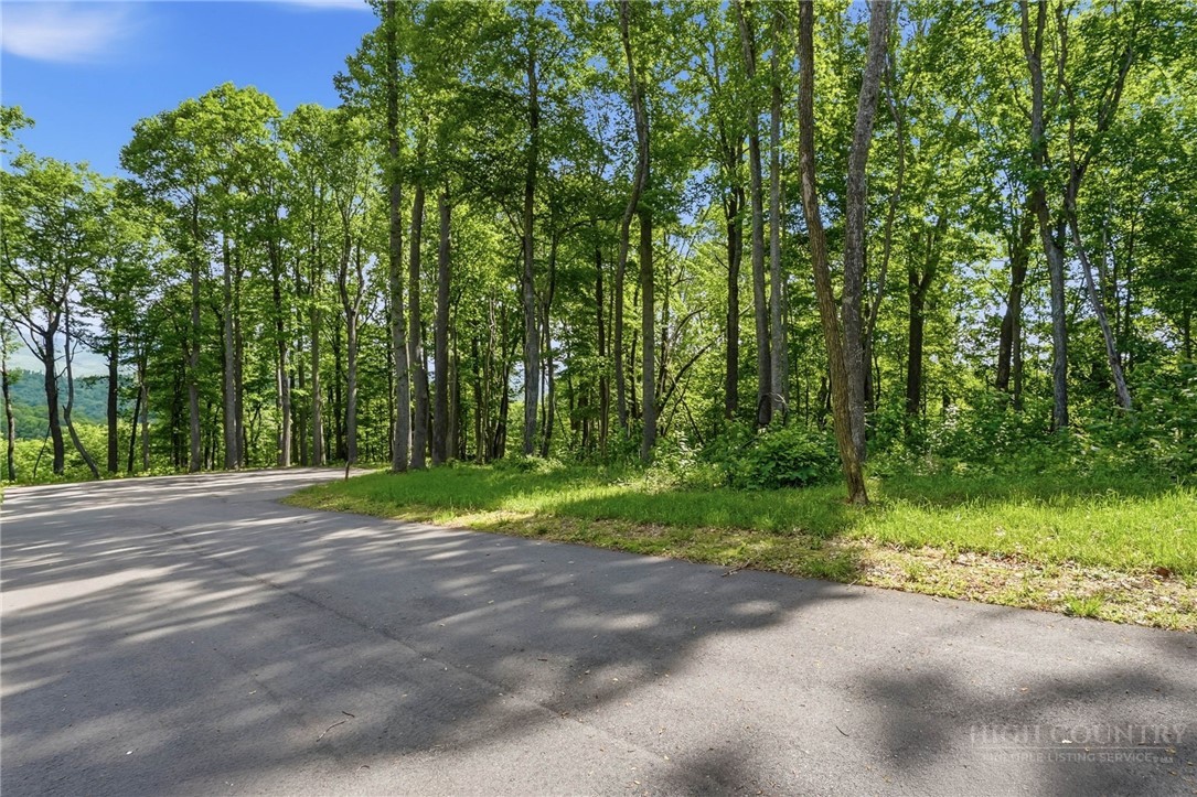 Lot 46 Poplar Forest Drive Property Photo 19
