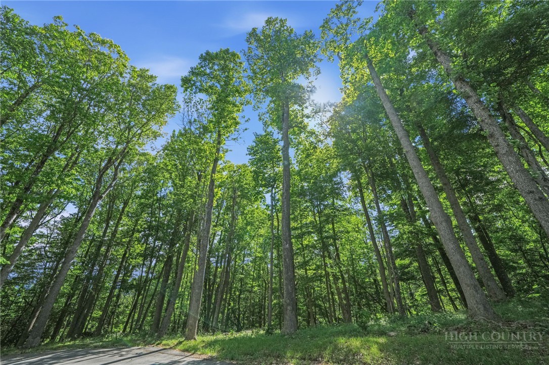 Lot 46 Poplar Forest Drive Property Photo 20